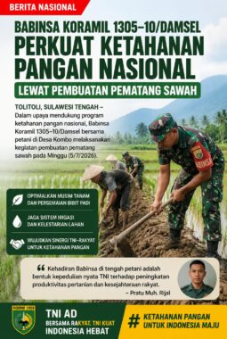 Babinsa Turun ke Sawah, Wujud Nyata TNI Dukung Ketahanan Pangan Nasional di Tolitoli